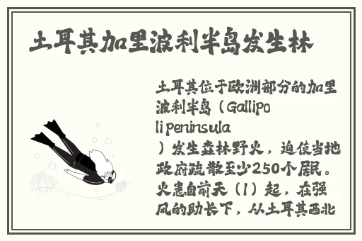 四虎永久在线精品免费看